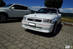 20180811 Grillade